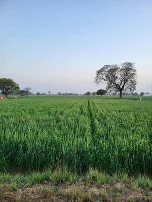 Plot Area in  Land at Neharpar Phase 1 – for Sale