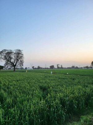Plot Area in  Land at Neharpar Phase 1 – for Sale
