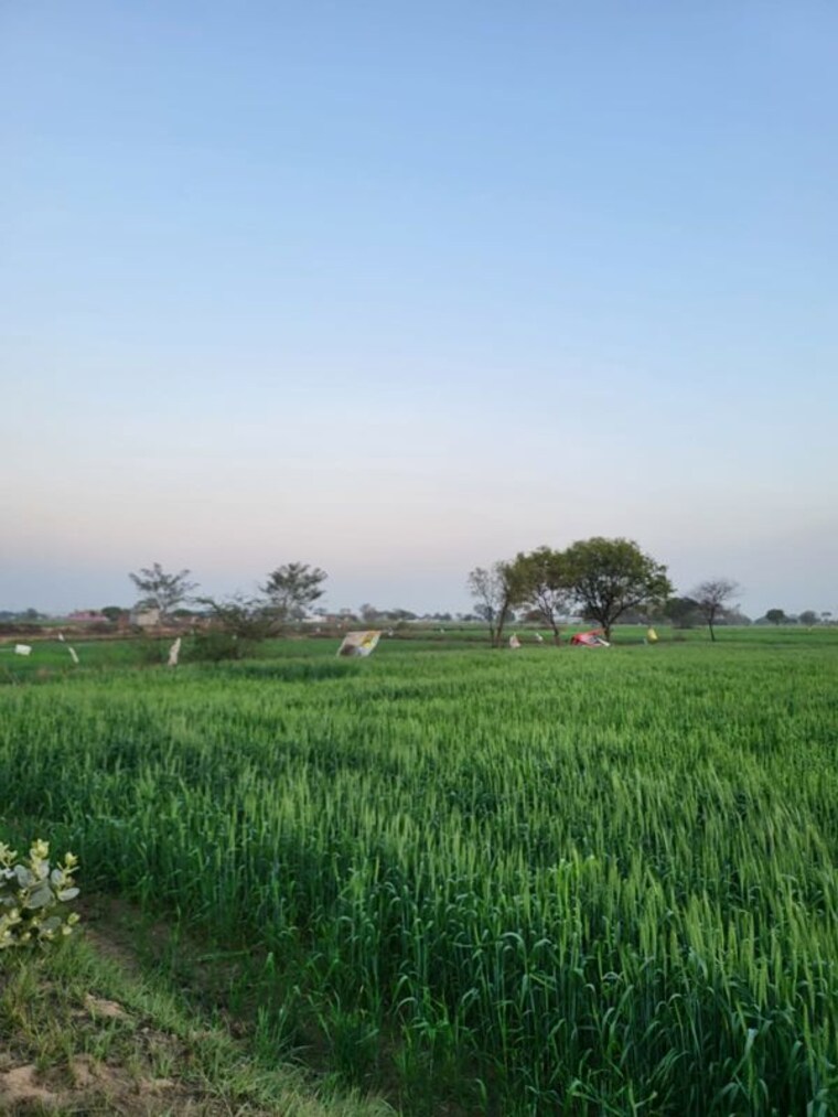 undefined, neharpar phase 1 Commercial Land 150000 Sq.Ft. In Neharpar Phase 1 Faridabad 10457712