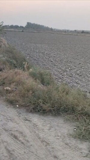  Plot For Sale in New Hb Colony