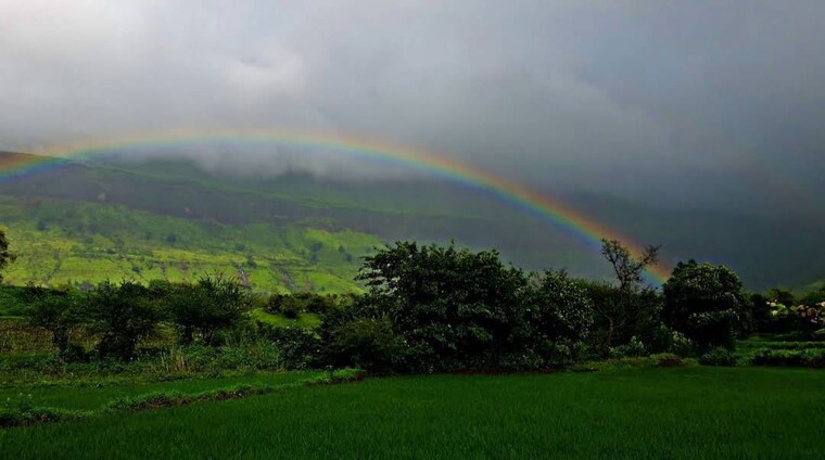 Garden, malegaon  58 Acre Plot In Malegaon Nashik 10457967