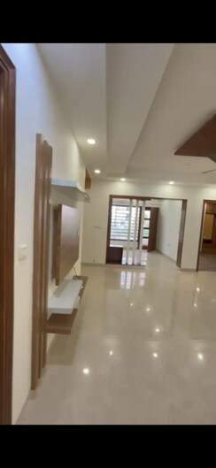 3 BHK Builder Floor For Rent in TDI The Retreat