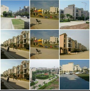 3 BHK Builder Floor – Exterior View View at Omaxe Silver Birch, North Mullanpur - for Sale