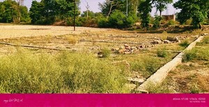 Plot Area in  Plot at Gangapur – for Sale