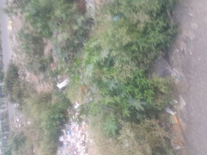  Plot For Sale in BP Homes, Sector 85