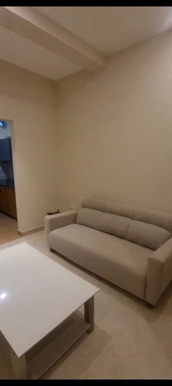 1 Rk  200 Sq.Yd. Apartment in DLF Gateway Tower