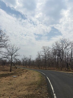 Plot Area in  Plot at Degma kh – for Sale