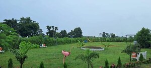 Plot Area in  Plot at Degma kh – for Sale