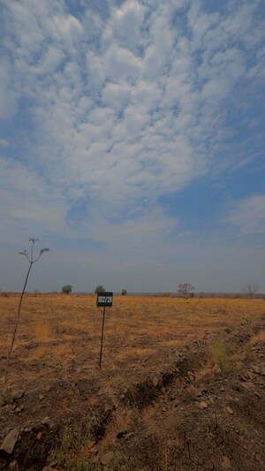 Plot Area in  Plot at Degma kh – for Sale