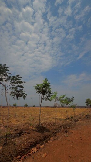 Plot Area in  Plot at Degma kh – for Sale