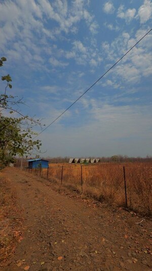 Plot Area in  Plot at Degma kh – for Sale