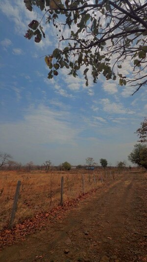 Plot Area in  Plot at Degma kh – for Sale