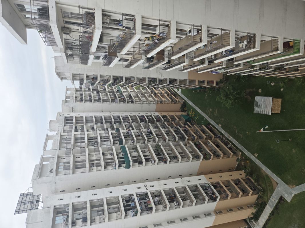 1 BHK 350 Sq.Ft. Apartment in ROF Amaltas