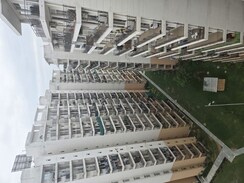1 BHK Apartment For Rent in ROF Amaltas