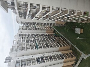 1 BHK Apartment For Rent in ROF Amaltas, Sector 92