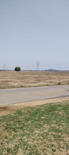 Plot For Sale in GLS Bird Estate
