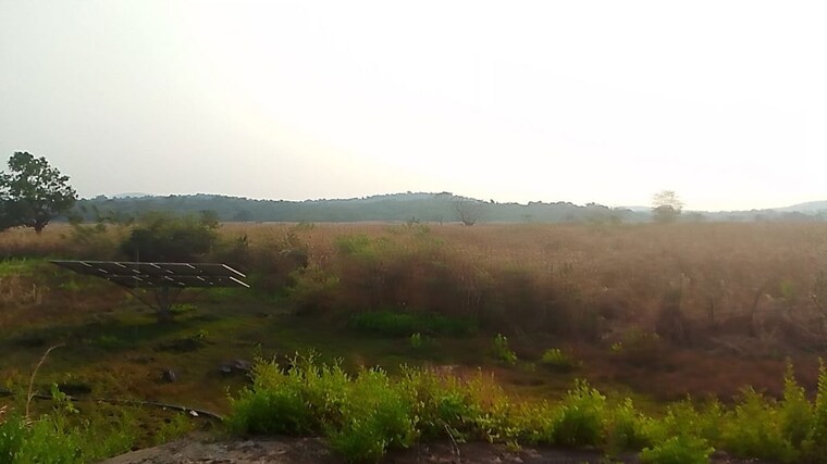 undefined, pali  1089 Sq.Ft. Plot In Pali Navi Mumbai 10460042