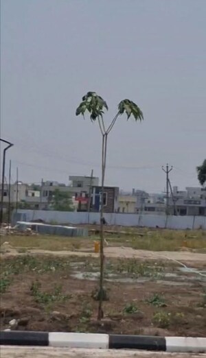Plot Area in  Plot at Nadergul – for Sale