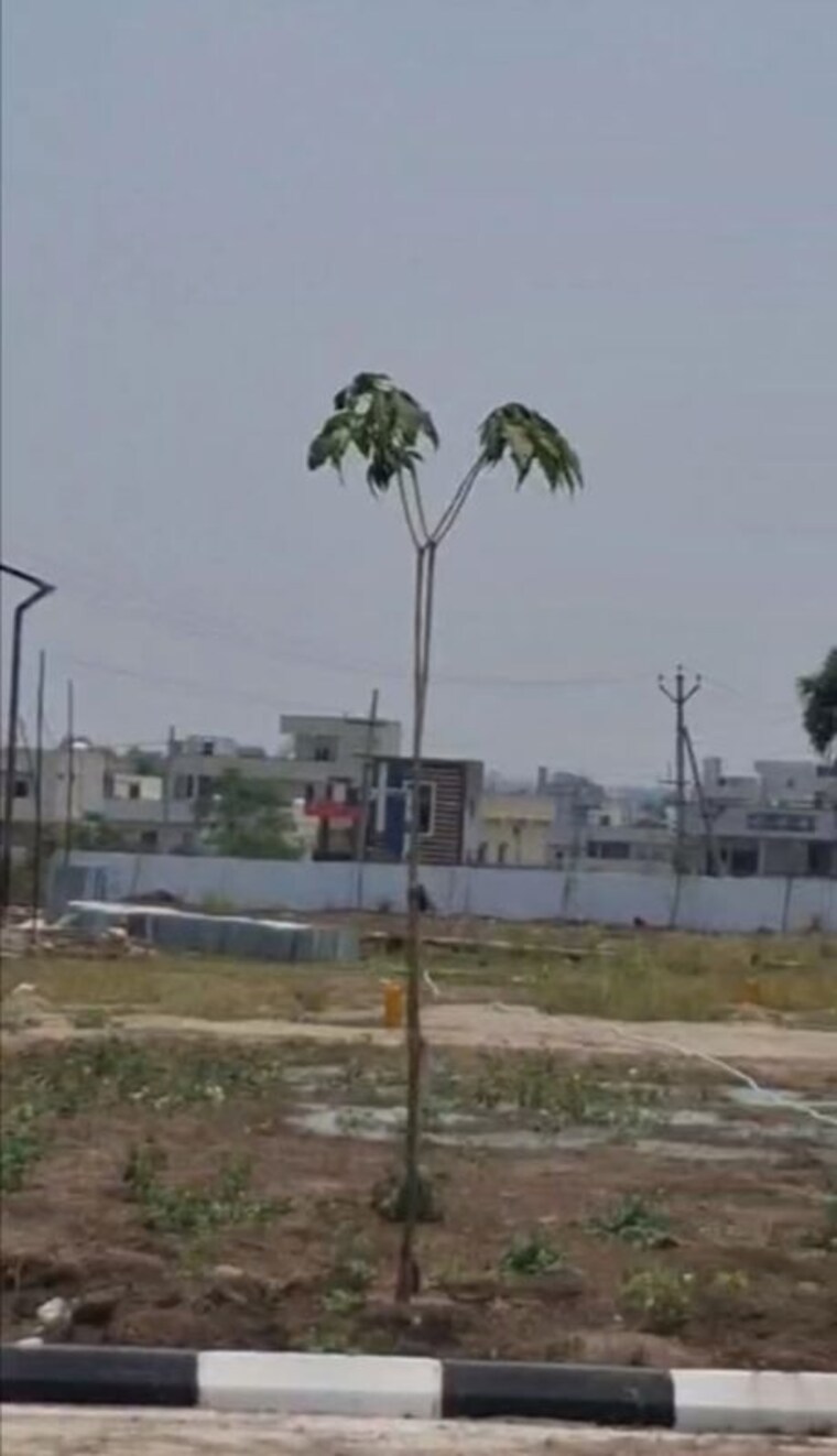 undefined, nadergul  183 Sq.Yd. Plot In Nadergul Hyderabad 10438056