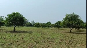  Plot For Sale in Jami