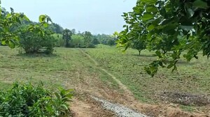 Plot Area in  Plot at Jami – for Sale