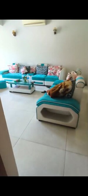 Furnished Amenities in 4 BHK Villa at Central Park Flower Valley, Sohna Sector 33 – for Sale