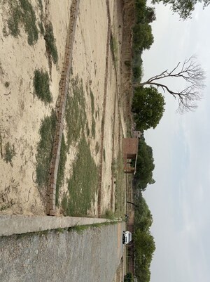  Plot For Sale in Chandauli