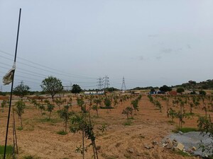 Plot Area in  Plot at Silpa Raghava Botanica, Amangal – for Sale