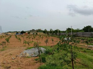  Plot For Sale in Silpa Raghava Botanica, Amangal