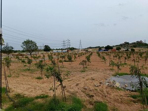 Plot Area in  Plot at Silpa Raghava Botanica, Amangal – for Sale