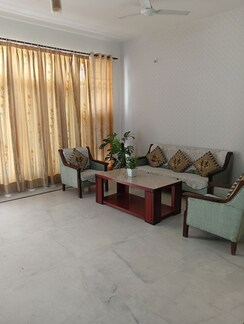 3 BHK + Pooja Room,Servant Room,Study Room,Extra Room,Basement,Store Room Builder Floor For Rent in Sector 23
