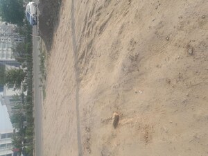  Plot For Sale in BP Homes, Sector 85