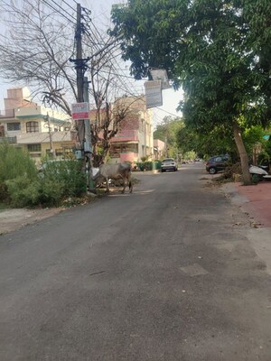  Plot – Exterior View View at Sector 2 - for Sale