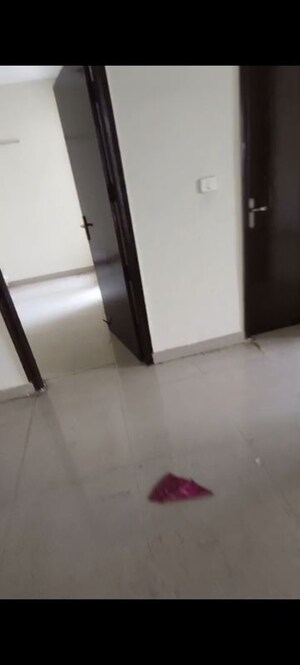 Room in 2 BHK Apartment at JKG Palm Resort, Raj Nagar Extension – for Rent
