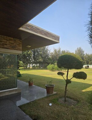  Plot – Exterior View View at VKS Palm Drive, Pataudi - for Sale