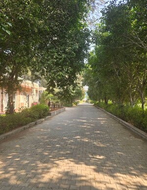  Plot – Garden View at VKS Palm Drive, Pataudi - for Sale