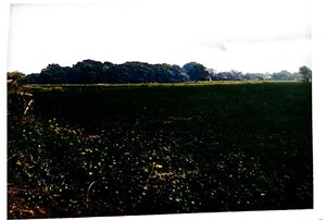  Plot For Sale in Umaraha