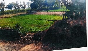  Plot – Exterior View View at Umaraha - for Sale