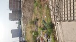 111 Sq.Yd. Plot in Savfab Jasmine Grove