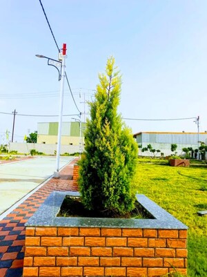  Plot – Garden View at Ringnodiya - for Sale