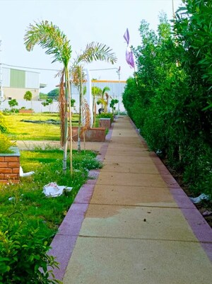  Plot – Garden View at Ringnodiya - for Sale