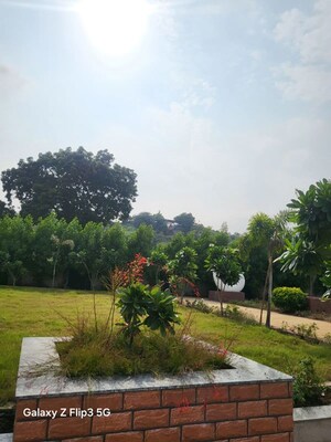  Plot – Garden View at Ringnodiya - for Sale