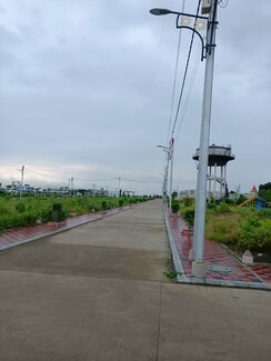 Plot For Sale in Ringnodiya