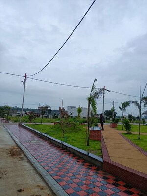 Plot Area in  Plot at Ringnodiya – for Sale