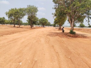 Plot Area in  Plot at Shadnagar – for Sale