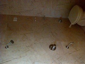 Bathroom in 3 BHK Apartment at MS Vrindavan Palms, Kalyan West – for Rent