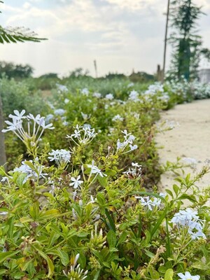  Plot – Garden View at Amar Stat City, Raebareli Road - for Sale