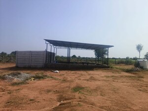  Plot For Sale in Shabad