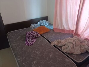1 BHK Apartment For Rent in Baner
