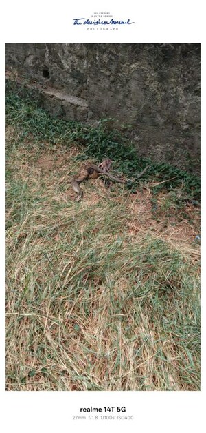  Land For Sale in Memnagar